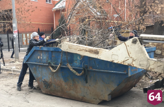 К Новому году города Саратовской области расчистят от растительных отходов
