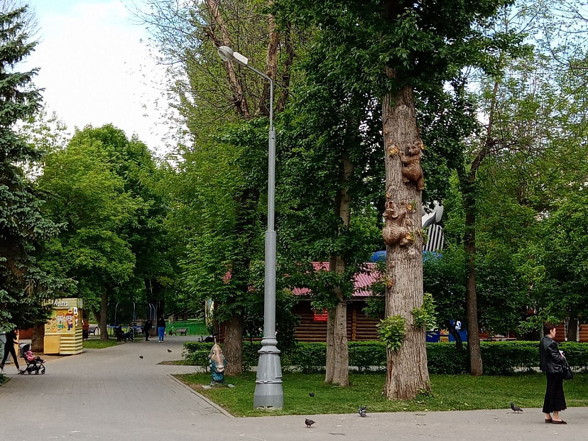 Саратовские синоптики пообещали 28 градусов тепла