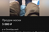 Житель Саратова продает ношеные носки из ЦУМа за 5 тысяч рублей