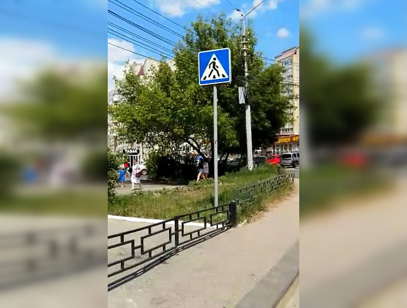 Жителей Саратова удивил забор перед пешеходным переходом