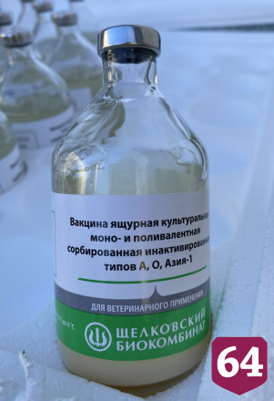 В Саратовскую область поступил миллион доз вакцины от ящура 