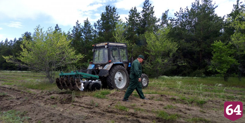 В лесу под Саратовом квадрокоптер помог найти грибника 