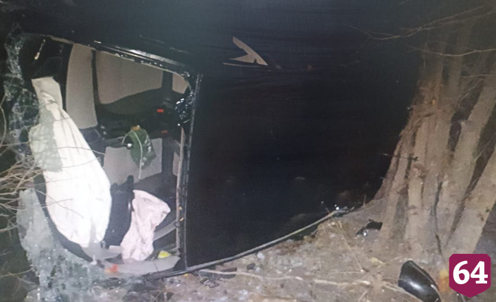 Пять человек травмировались в ДТП с деревом под Саратовом