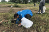 Саратовский чиновник расчистил под мостом сточный коллектор
