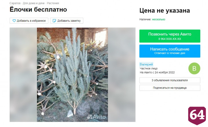 В Саратове бесплатно раздают новогодние елки