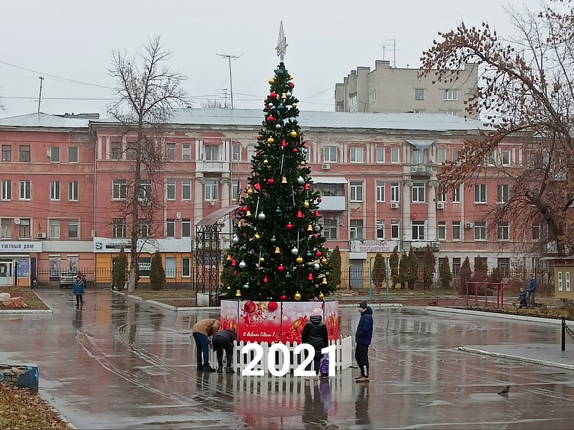 Саратовцы сравнили городские елки за 10 лет