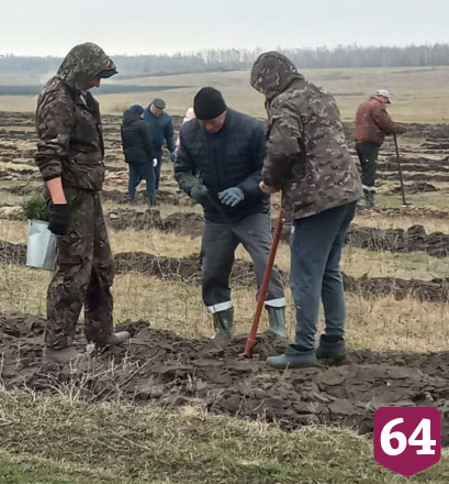 Волонтеры акции «Сад памяти» заложили лес под Саратовом