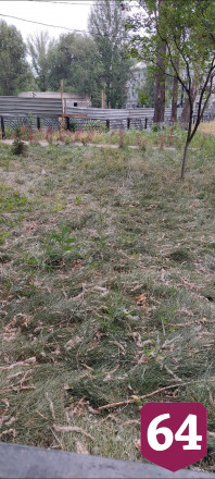 В Саратове без полива засыхает сквер