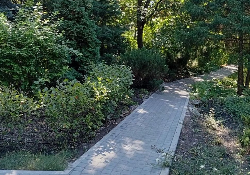 В Ботаническом саду Саратова создадут уголок Японии и высадят сакуру