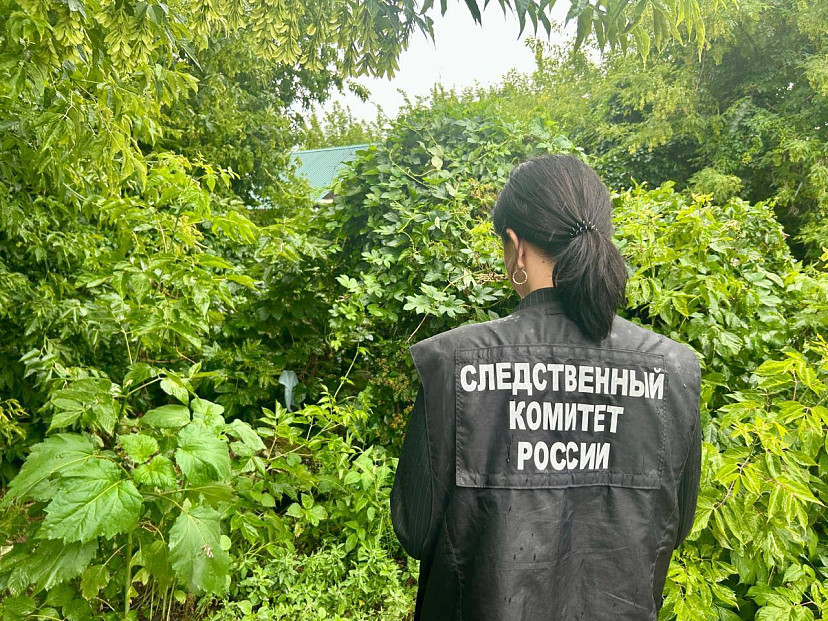 В Саратовской области после гибели мальчика от отравления завели уголовное дело