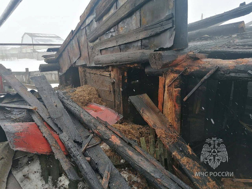 Под Саратовом сгорел сарай со свиньями