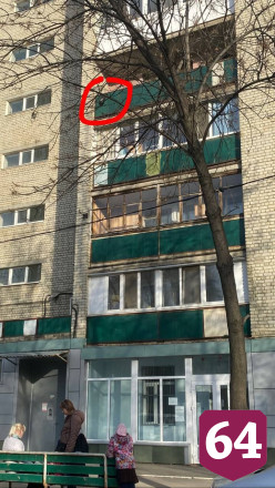 Жительница Саратова спасла повисшего на дереве голубя 