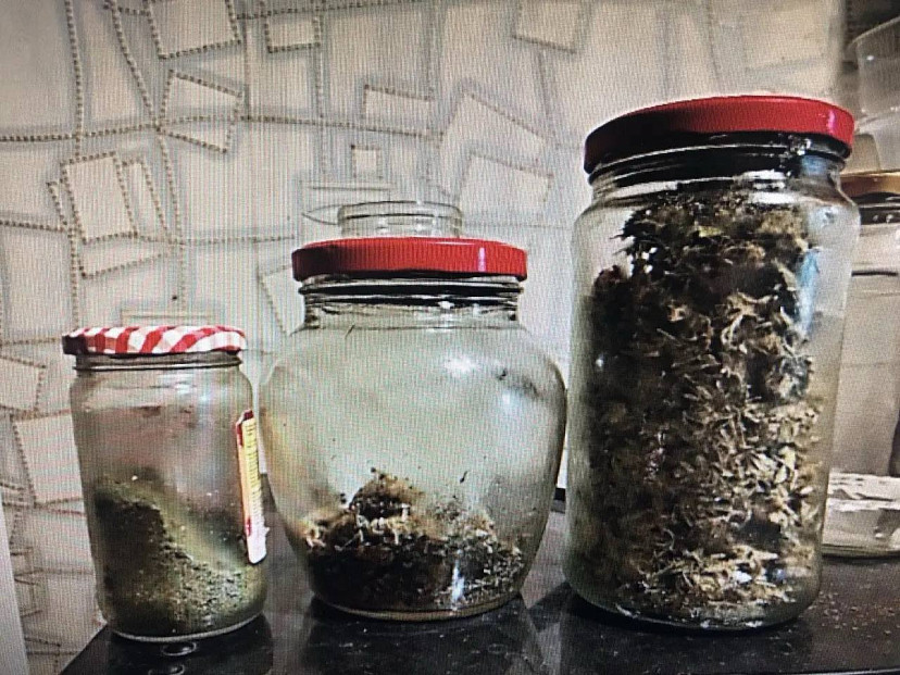 У жителя Энгельса изъяли крупную партию марихуаны