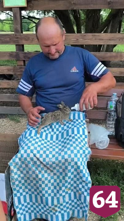 В саратовском экопарке спасут брошенных дачных кроликов