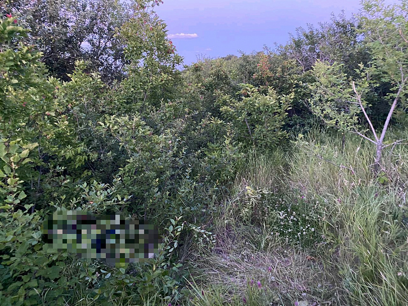 В посадках на Соколовой горе нашли труп убитого саратовца