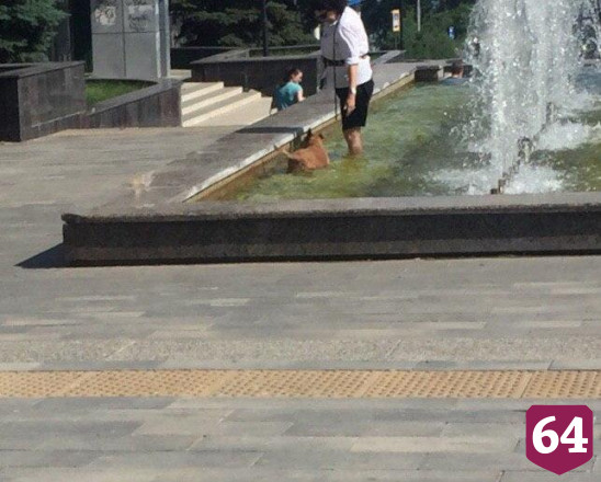 Жители Саратова в жару купаются в фонтанах с собаками