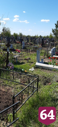 Зайцы разрывают могилы на саратовском кладбище 