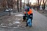 Коммунальщики Саратова устраняют последствия сильного ветра