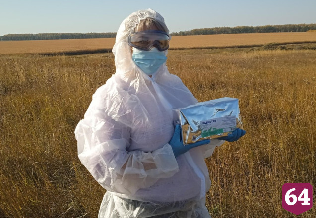 Саратовские ветеринары разложили 300 тысяч приманок с вакциной от бешенства