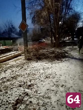 Чиновники пообещали высадить новые деревья во 2-м Детском проезде