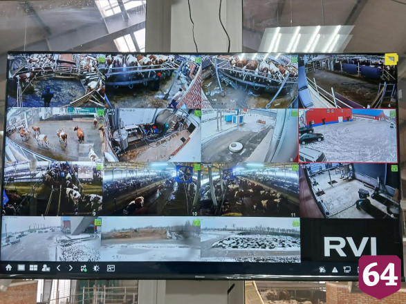 Саратовские аграрии развивают молочное животноводство с участием роботов
