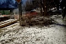 Чиновники пообещали высадить новые деревья во 2-м Детском проезде