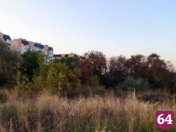 В Саратове появится природный парк с соловьями
