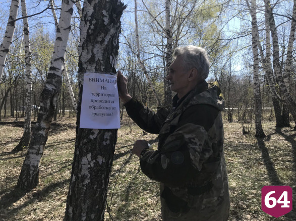 Любителям отдыхать на Кумысной поляне посоветовали чаще мыть руки 