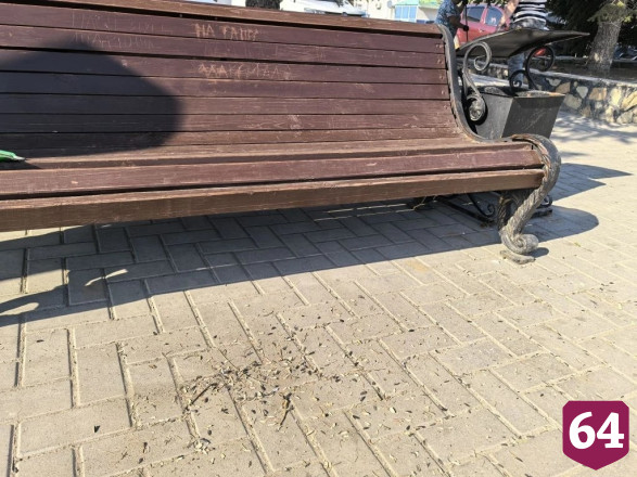 Саратовцы намусорили и изрисовали скамейки в парке 