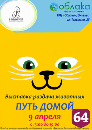 Посетителям торгового центра предложат погладить кошек