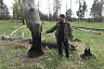 Сгоревший на Первомай лес под Саратовом вырубят и восстановят