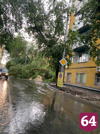 Шквалистый ветер повалил деревья в центре Саратова