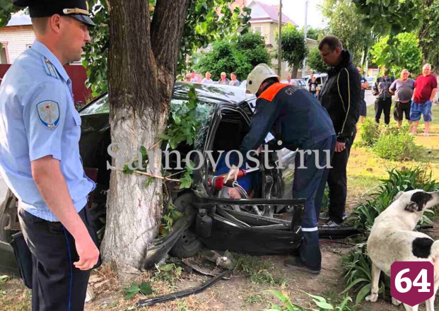 Водитель легковушки погиб в ДТП с деревом