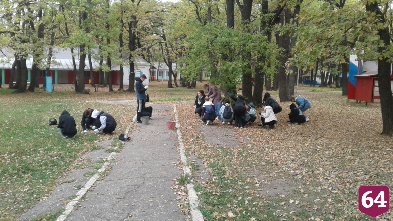 Саратовские студенты собирают желуди на Кумысной поляне