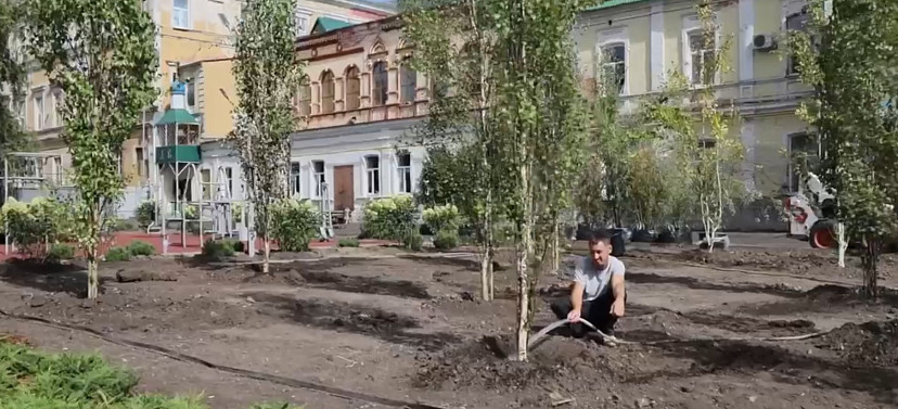 В городском парке Саратова проходит масштабная высадка деревьев