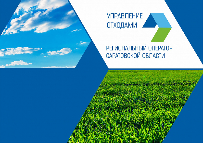 Регоператор просит организовать вывоз веток в рамках закона