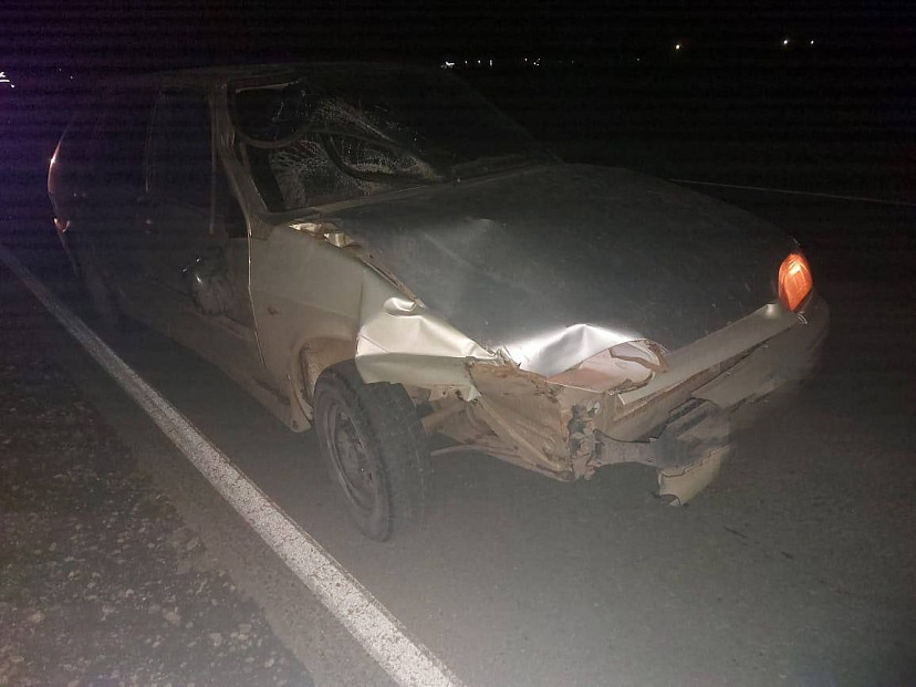 Под Саратовом легковушка задавила 51-летнего мужчину