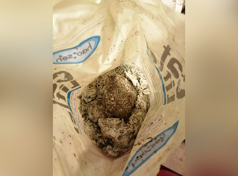 Жительница Саратова купила кошачий наполнитель с плесенью