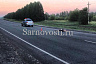 Водитель бросил мертвого пешехода на трассе под Саратовом