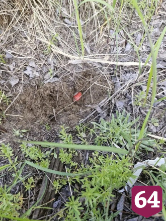 В Энгельсе поймали закладчика марихуаны