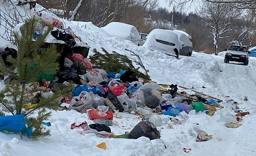 Жители пожаловались на горы мусора у дома и бродячих собак