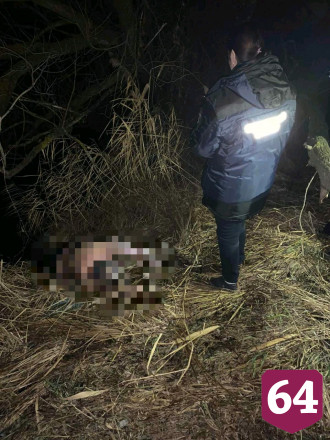 Упавший с хлипкого моста мужчина утонул в реке