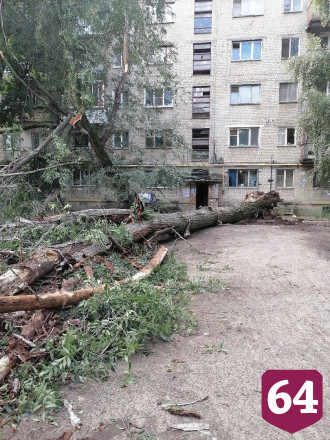 Огромный ствол дерева рухнул на дорогу рядом с машинами