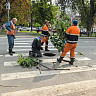 Озвучено пять самых популярных мест работы у мужчин Саратовской области