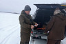 Саратовцы выплатят по 120 тысяч за незаконную охоту на сибирскую косулю