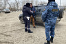 Под Саратовом ловили должников по дорожным штрафам и алиментам