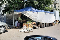 Саратовцы заступились за уличных торговцев овощами
