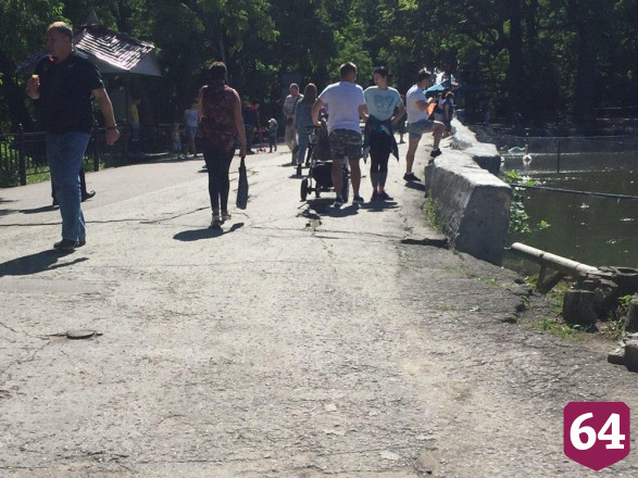 Саратовцы в горпарке выстроились в очередь покормить лебедей