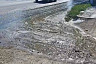 Саратовцы пожаловались на зловонный ручей 