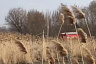 Пожарные отбивают от огня дома у реки Гуселки